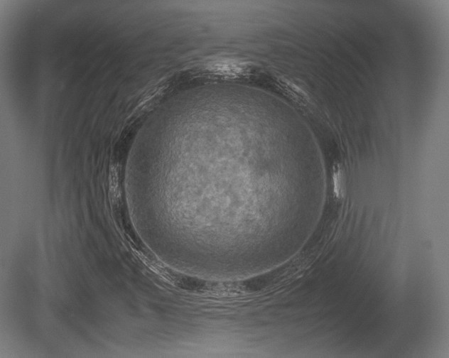 X0000080661347200612221040