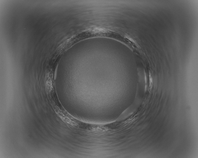 X0000080661348200612221040