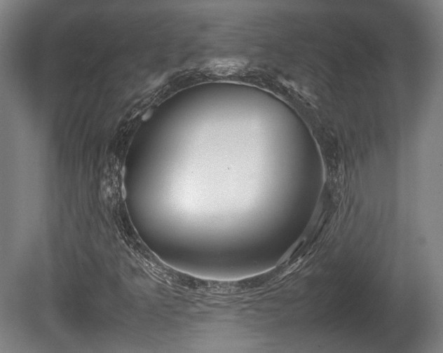 X0000080661349200612221040