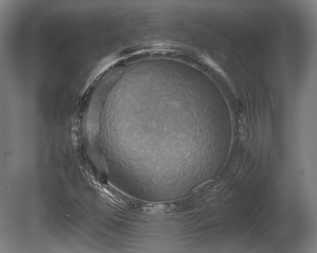 X0000080661352200612221040