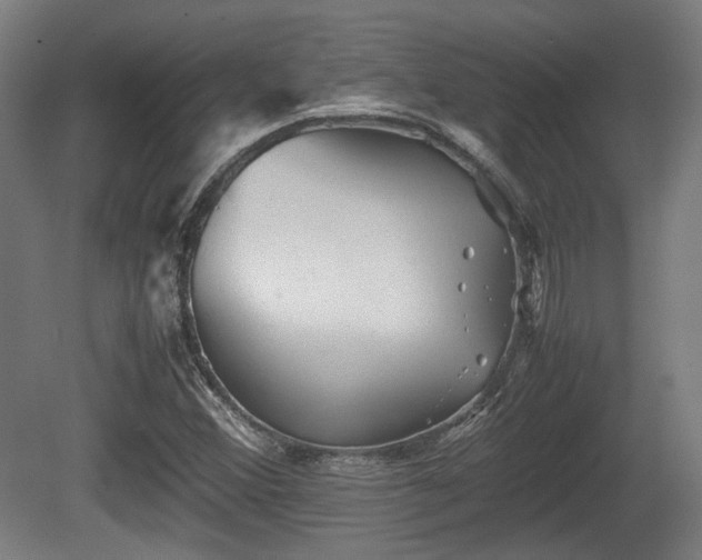 X0000080661356200612221040