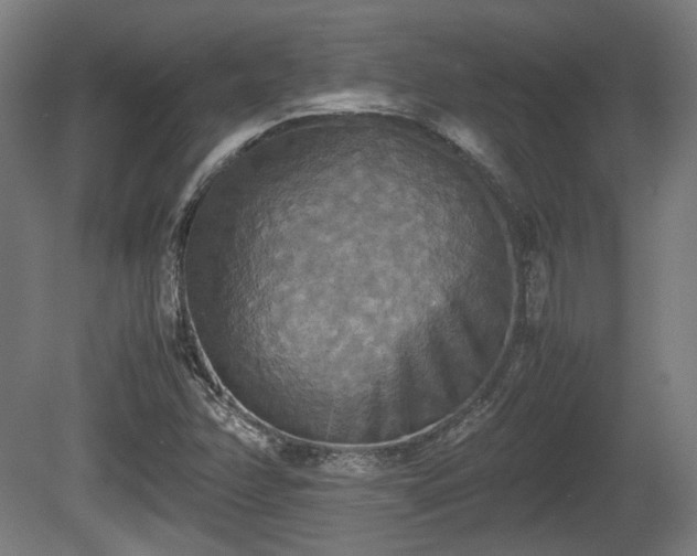 X0000080661358200612221040