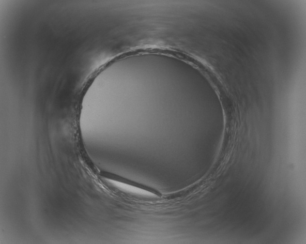 X0000080661359200612221040