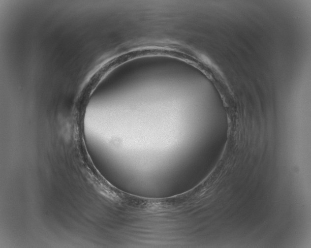 X0000080661360200612221040