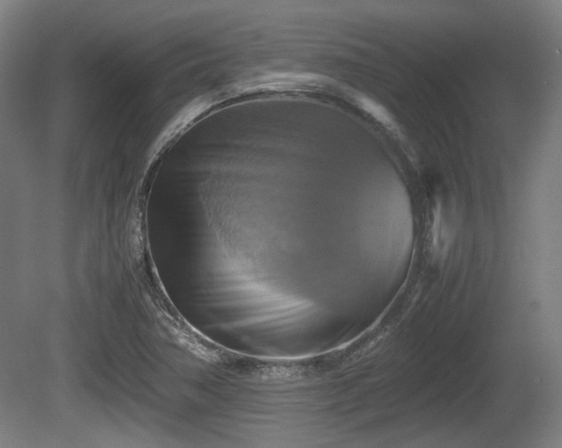 X0000080661362200612221040