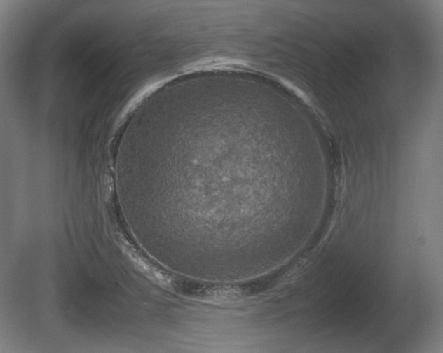 X0000080661363200612221040