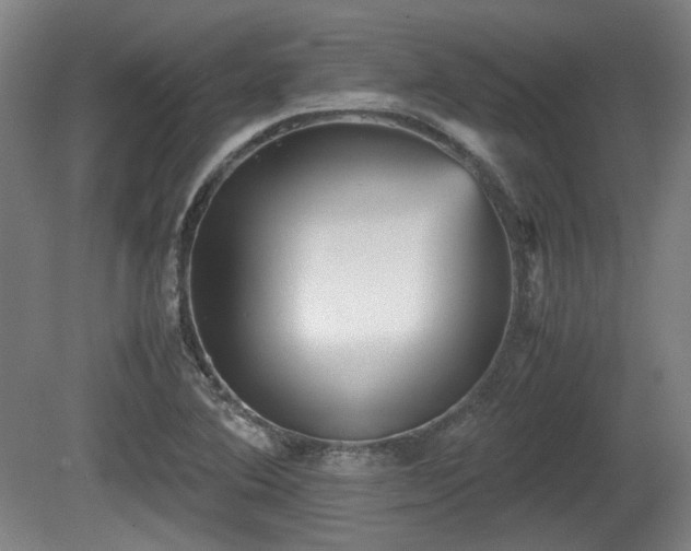 X0000080661364200612221040