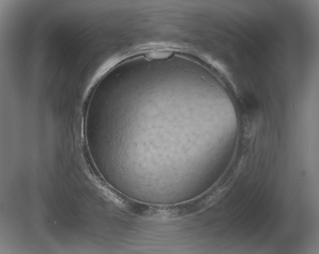 X0000080661365200612221040