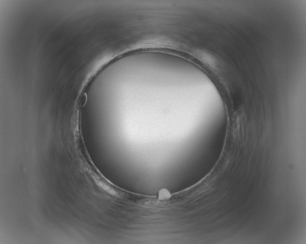 X0000080661366200612221040
