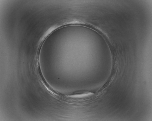 X0000080661367200612221040