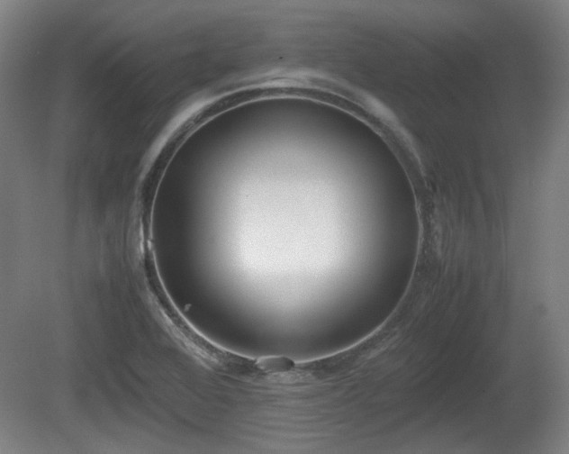 X0000080661368200612221040