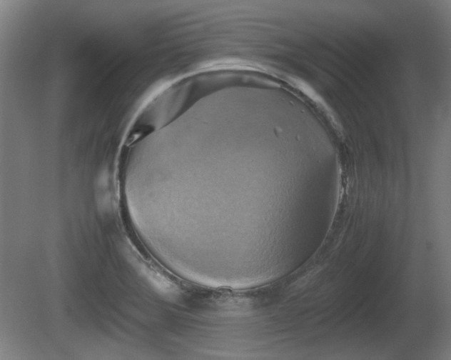 X0000080661372200612221040