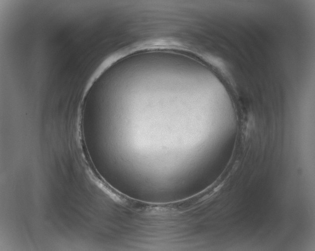 X0000080661374200612221040