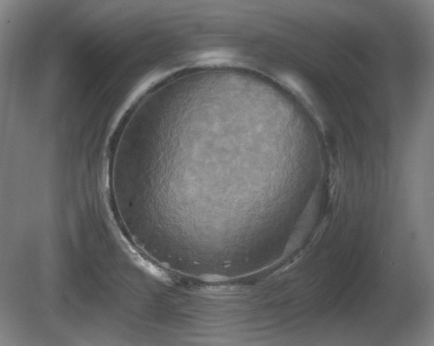 X0000080661376200612221040