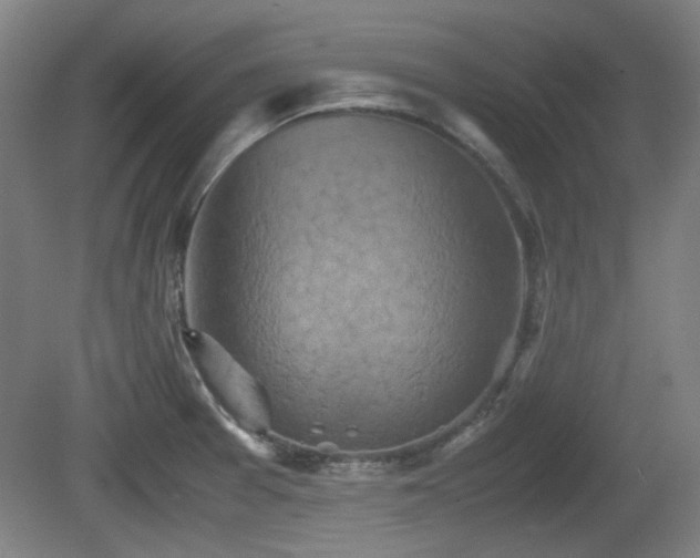 X0000080661377200612221040