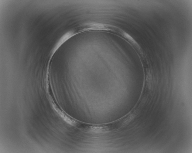 X0000080661378200612221040