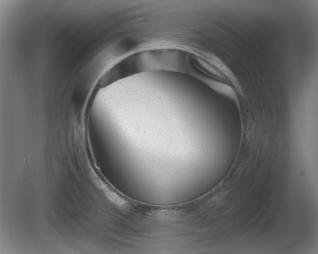 X0000080661380200612221040