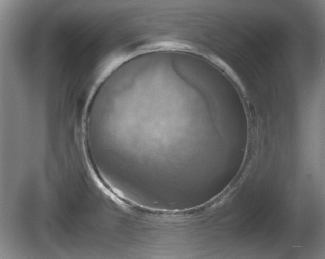 X0000080661381200612221040