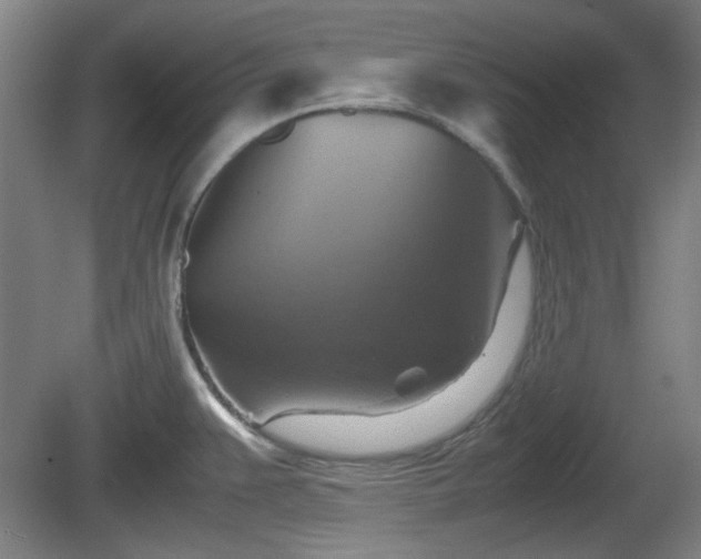 X0000080661383200612221040