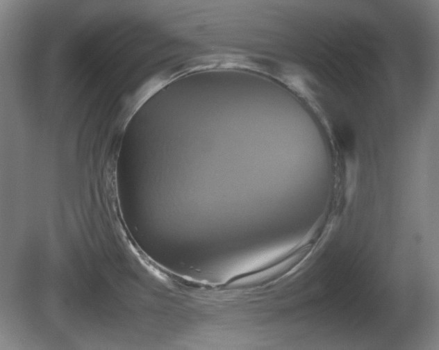 X0000080661385200612221040