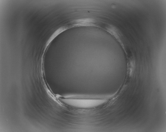 X0000080661386200612221040