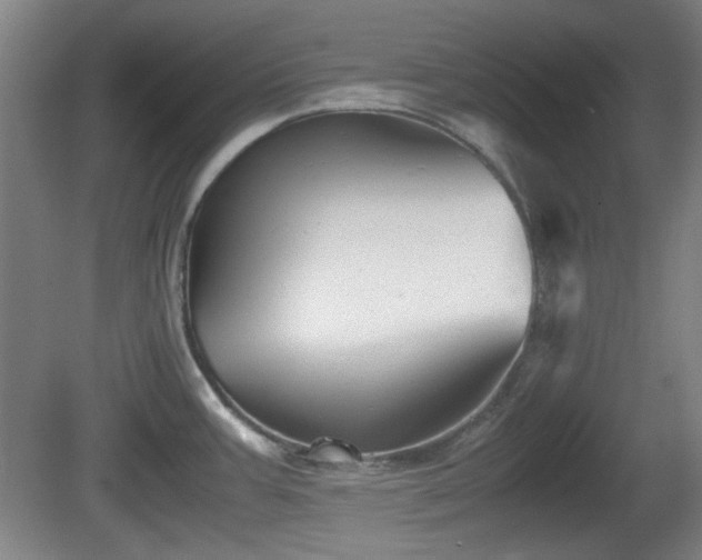 X0000080661387200612221040