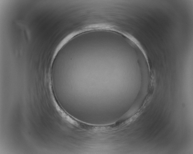 X0000080661389200612221040