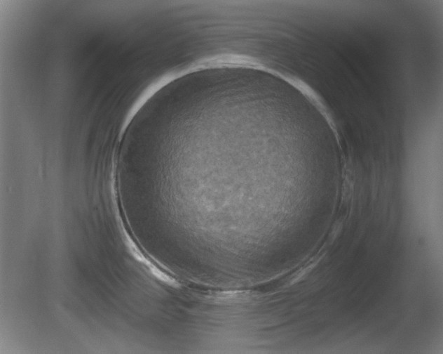 X0000080661390200612221040