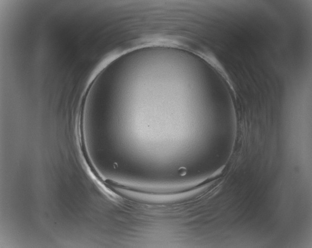 X0000080661391200612221039