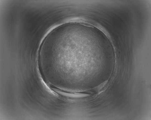 X0000080661392200612221039