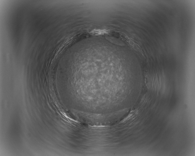 X0000080661393200612221039