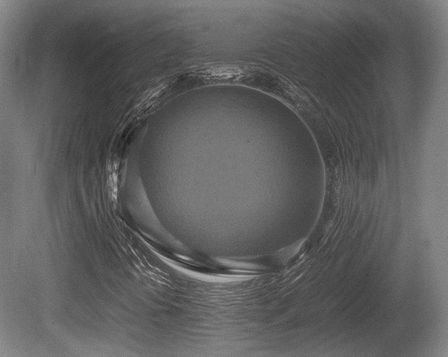 X0000080661394200612221039