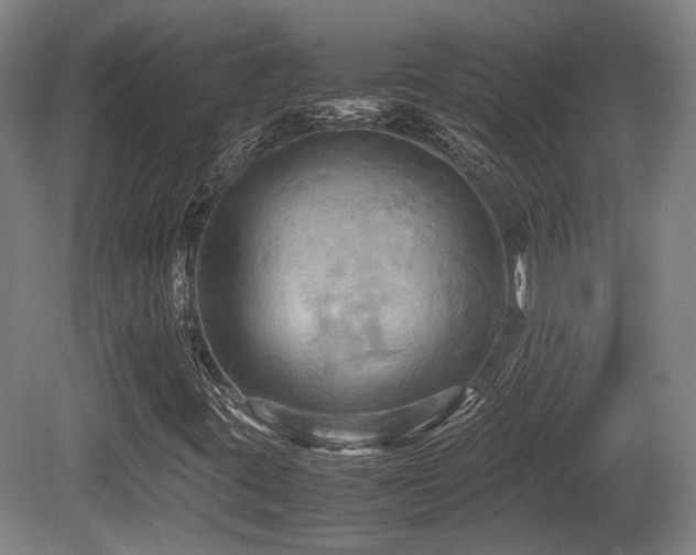 X0000080661395200612221039