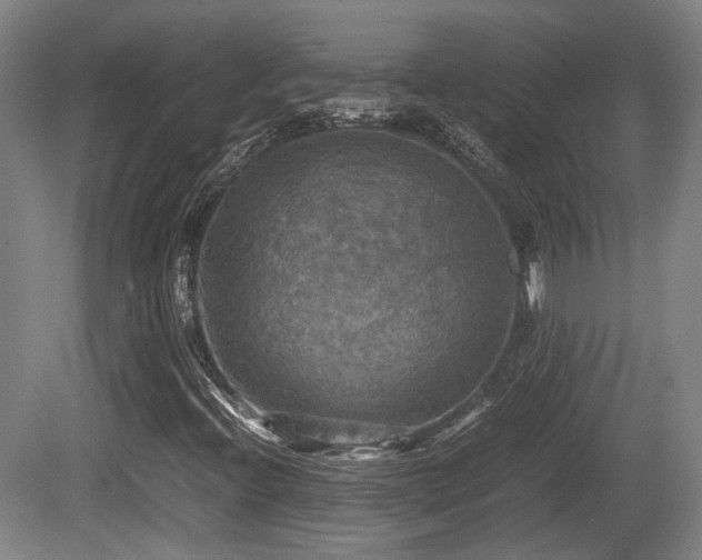 X0000080661396200612221039