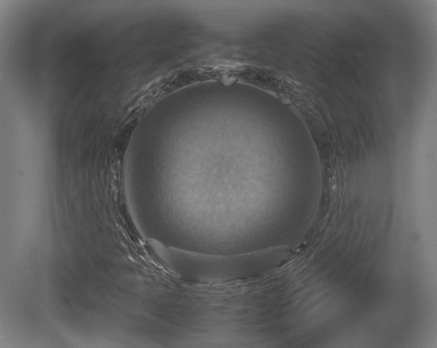 X0000080661397200612221039
