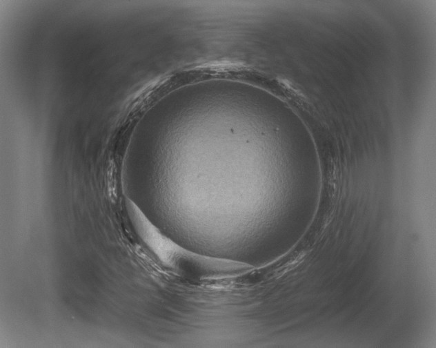 X0000080661398200612221039