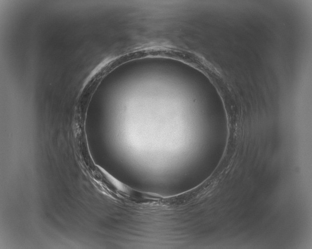 X0000080661400200612221039