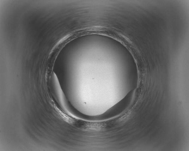 X0000080661402200612221039