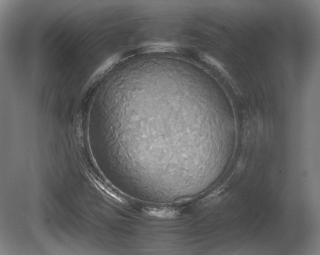 X0000080661403200612221039