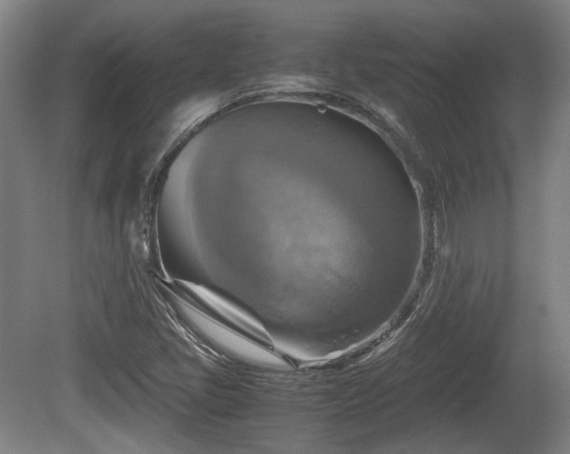 X0000080661405200612221039
