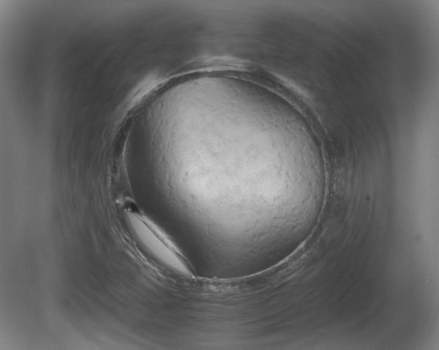 X0000080661407200612221039