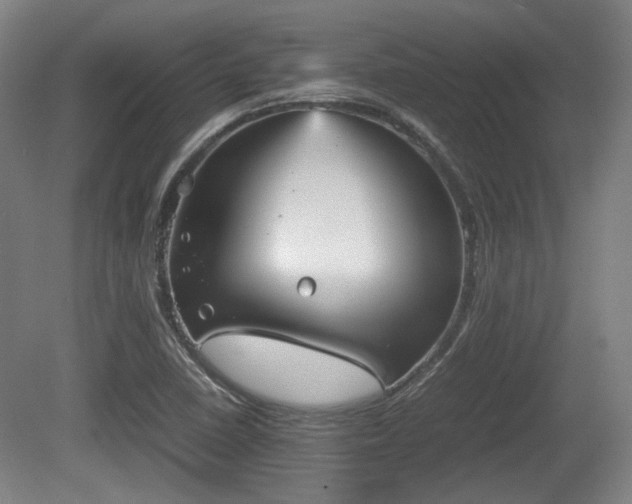 X0000080661410200612221039