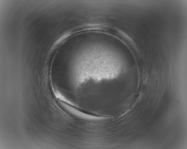 X0000080661411200612221039