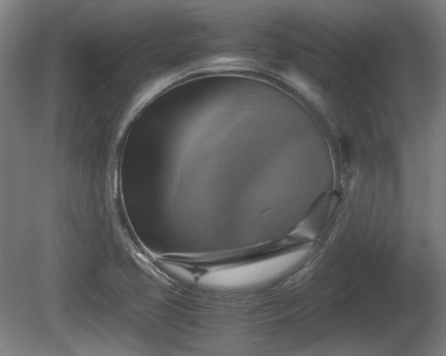 X0000080661413200612221039