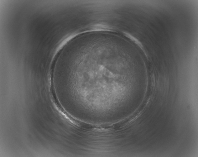 X0000080661415200612221039