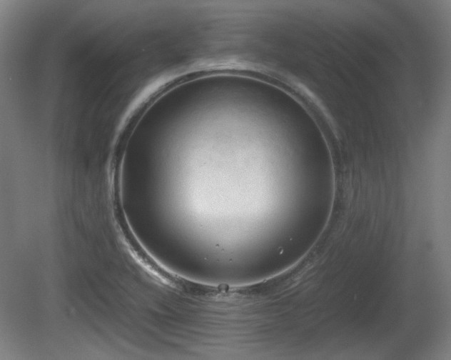 X0000080661416200612221039