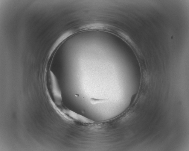 X0000080661426200612221039