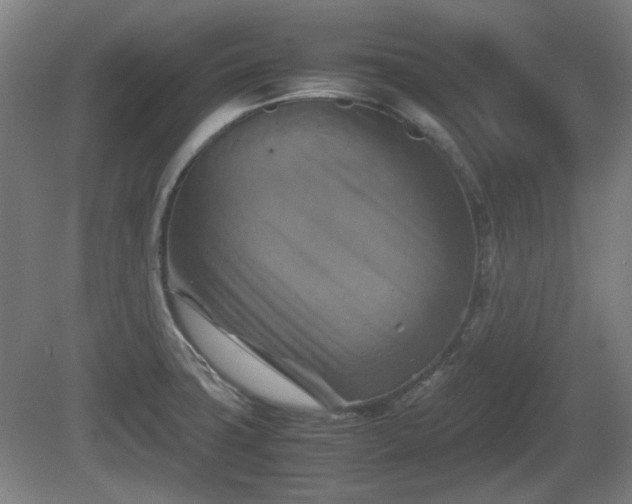 X0000080661427200612221039