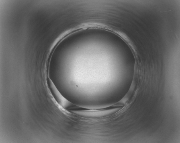 X0000080661438200612221039