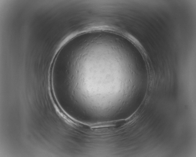 X0000080661439200612221039